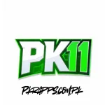PK11 Game